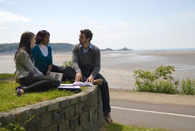 People reading outside near the beach.